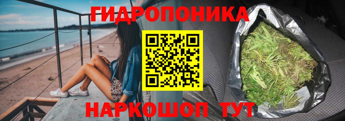 МАРИХУАНА сатива Гуково